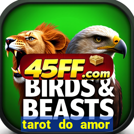 tarot do amor estrela guia o que dizem as cartas
